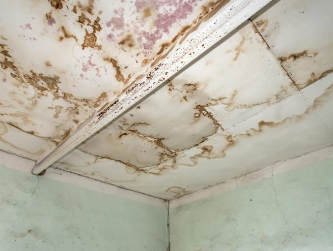 Emergency Restoration